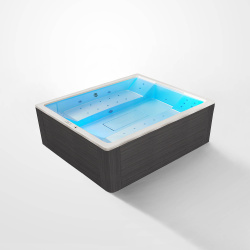 Гидромассажный спа бассейн WS-S026